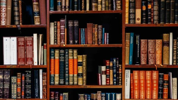 mersin ceza avukatı, ağır ceza avukatı, mersin avukat, mersin adliyesi, mersin ağır ceza mahkemesi, asliye ceza mahkemesi